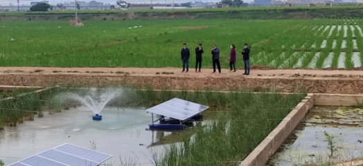 陸良縣強化養殖尾水治理，推動內陸水產養殖綠色可持續發展
